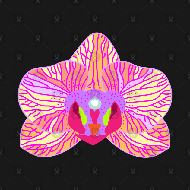 Orchid flower by spontania