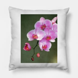 Pink orchid flowers Pillow