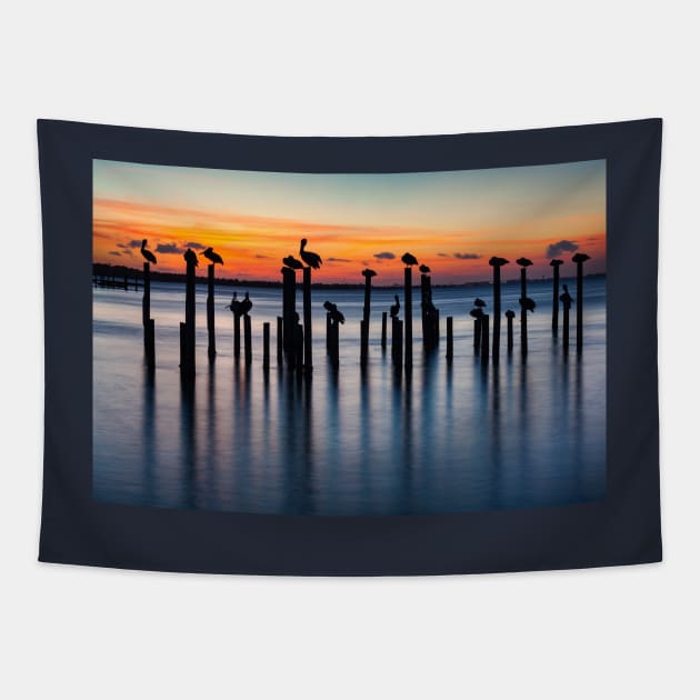 Pelican Silhouettes at Sunset Tapestry by mcdonojj