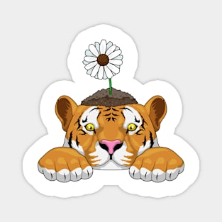 Tiger Daisy Flower Magnet