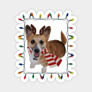 Happy Corgmas! Magnet