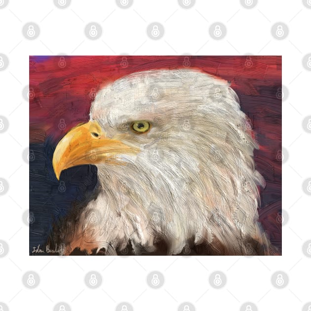 A Bald Eagle with Red and Blue Background by ibadishi