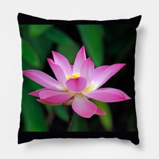 Pink Lotus Flower Pillow