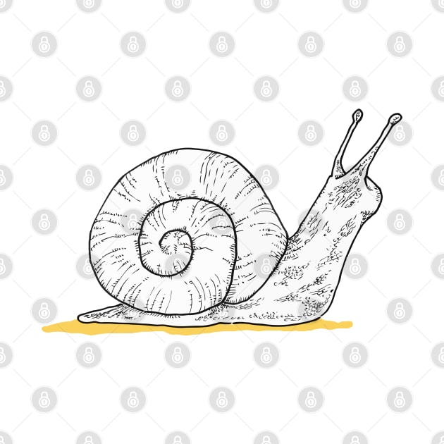 White Snail by jessihendri