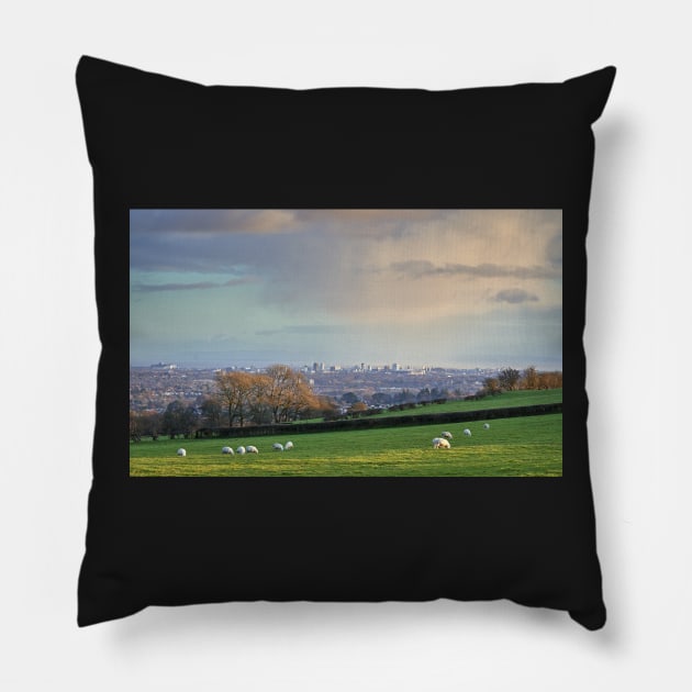 Above Cardiff Pillow by RJDowns