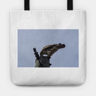 Goshawk Feeding Tote