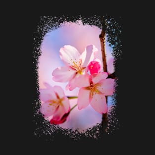 Three Pink Sakura Flowers In Pring T-Shirt