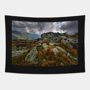 Alpine landscape in a cloudy day Tapestry