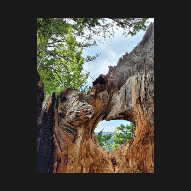 Tree Hole by ReanimatedStore