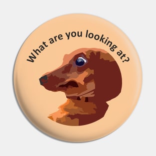 Dachshund Pin