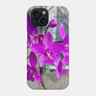 Purple Orchids (Spathoglottis plicata) Phone Case