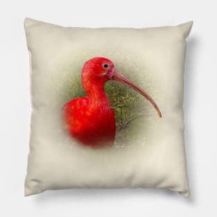 Scarlet ibis Pillow