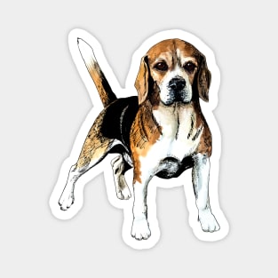 beagle Magnet