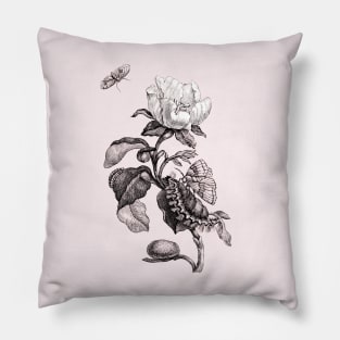 White Rose Flower with Butterflies. Vintage Botanical Illustration Pillow