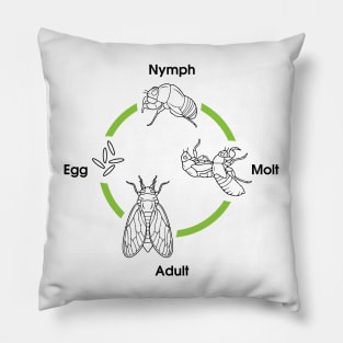 Life Cycle Of A Cicada Pillow