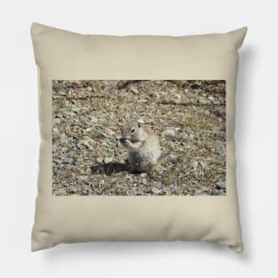 prairie dog, wildlife, animals, nature, gifts Pillow