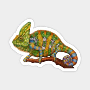 Veiled Chameleon Magnet