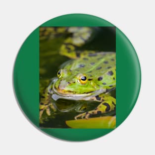 Green European Frog Pin