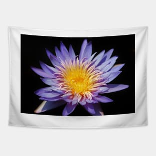 Purple Lotus Tapestry