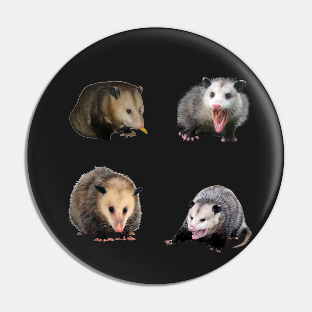 Possum Sticker Pack Pin by CatGirl101