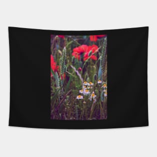 Wild Daisies Tapestry