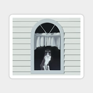 Cute Cat Sitting in a Window Magnet