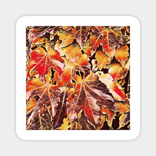 Vivid Autumn Leaves Magnet