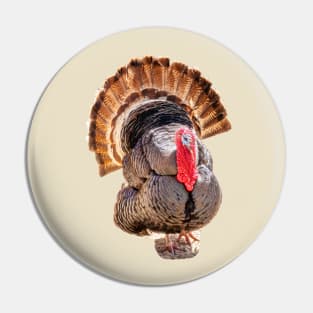 Tall Turkey tails Pin