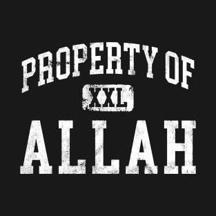 property of allah T-Shirt