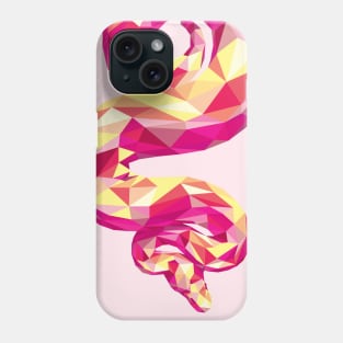 Bright Colorful Rainbow Snake Phone Case