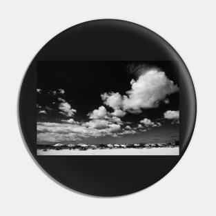 Tropical Beach in Black and White Pin