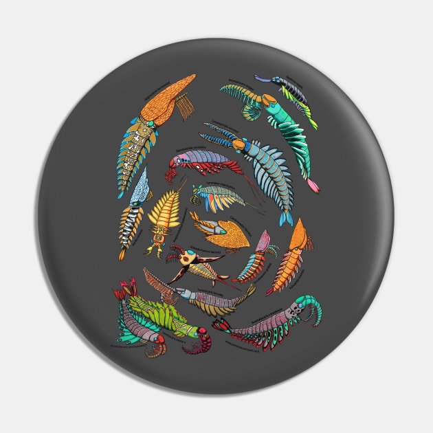 Anomalocaris group Pin by NocturnalSea