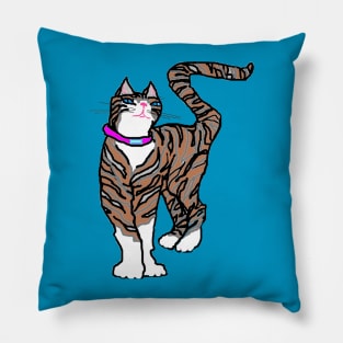 A Tabby Cat with Blue Eyes Pillow