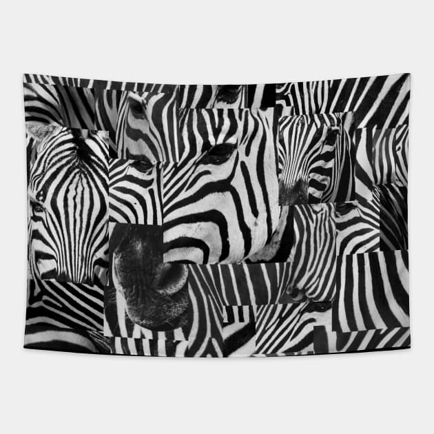 Zebra Freestyle Tapestry by zemluke