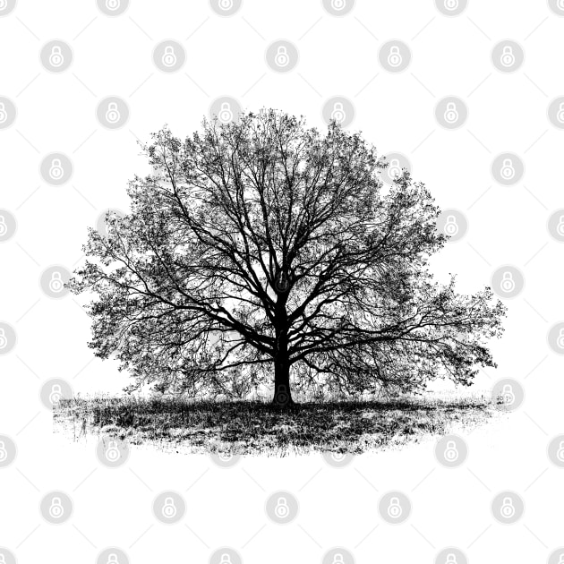 Graphic of a tree by R LANG GRAPHICS