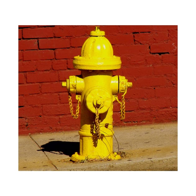 Yellow Hydrant by Rodwilliams