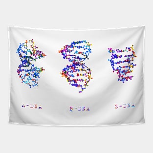 A-,B-, and Z-DNA Tapestry