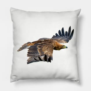 Golden Eagle in flight Pillow