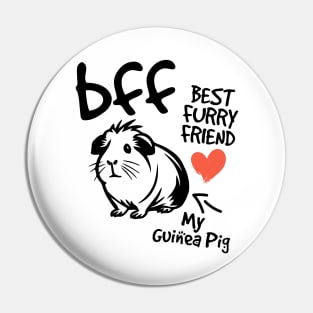Gorgeous guinea pig friend BFF best furry friend deign Pin