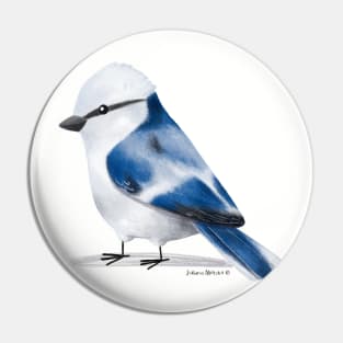 Azure Tit Pin