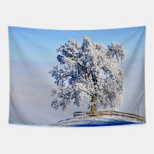 Winter Tree Landscape / Swiss Artwork Photography Tapestry