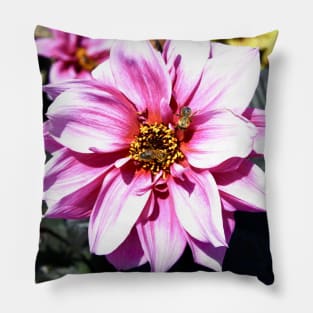 Honey bees & flower / Swiss Artwork Photography Pillow