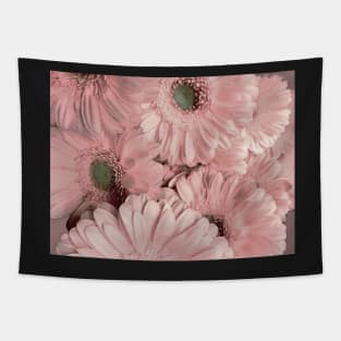 GERBERA,,,, Tapestry