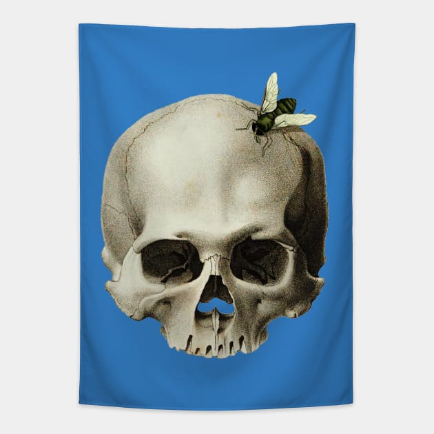 Skull with a fly around Tapestry by Nosa rez