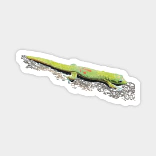 Gold Dust Day Gecko Magnet