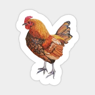 Just Chicken Magnet