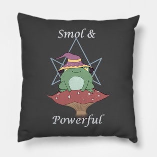 Witchy Frog Pillow