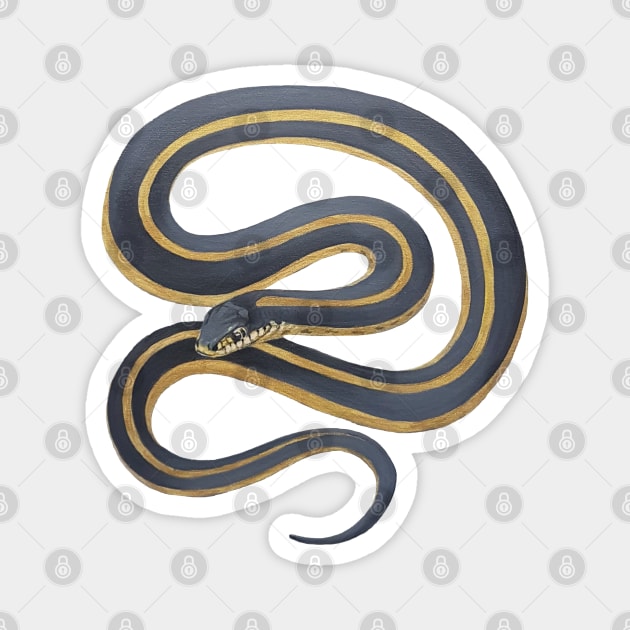 Garter Snake painting Magnet by EmilyBickell