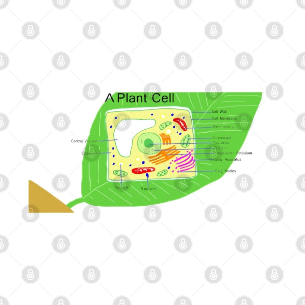 A plant cell. by ikshvaku