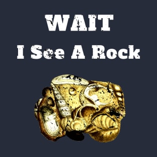 Wait I See A Rock Geology Fan Gift T-Shirt